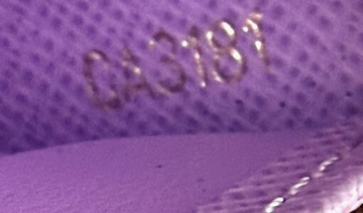 Louis Vuitton Damier Ebene Illustre de Trunks Zippy Wallet - Image 5