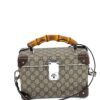 Gucci Globe Trotter Logo Hardsided Vanity Case or Crossbody