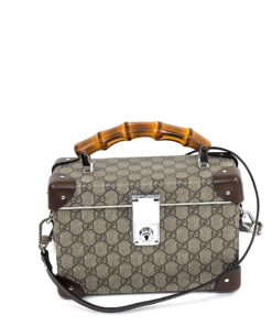 Gucci Globe Trotter Logo Hardsided Vanity Case or Crossbody