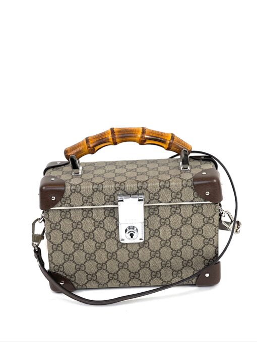 Gucci Globe Trotter Logo Hardsided Vanity Case or Crossbody - Image 14