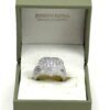 Ring in its sage green Judith Ripka presentation box