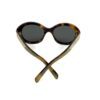 Back of the sunglasses with the temple arms crossed