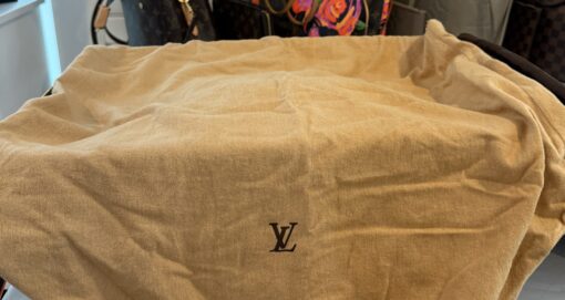 Louis Vuitton Monogram Canvas Pegase 45 Rolling Luggage Bag - Image 12