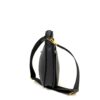 Hermes Evelyne PM Black Clemence Leather Gold HW 11