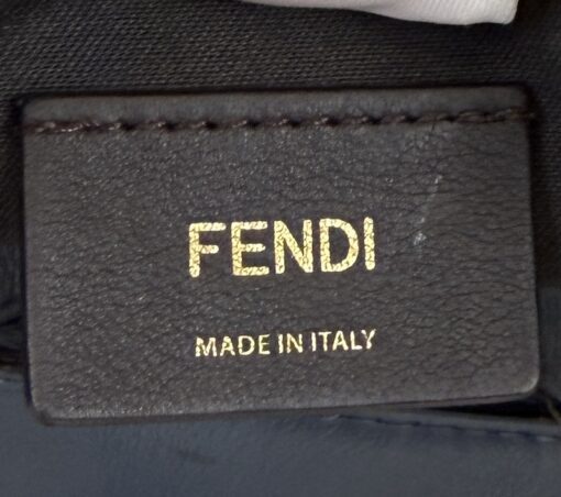Fendi Vitello Grace Matte Small Fendigraphy Hobo Bag Mirto - Image 4