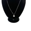 Necklace alone showing the heart pendant and chain