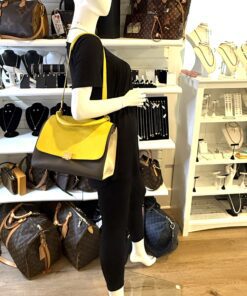 Celine Elephant Calfskin Small Tri-Color Trapeze Yellow 3