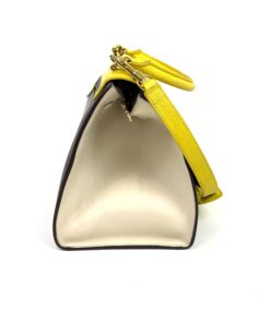 Celine Elephant Calfskin Small Tri-Color Trapeze Yellow 12