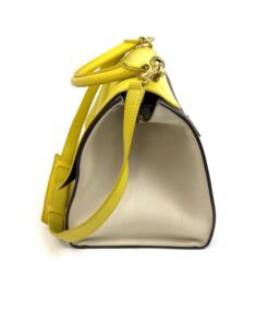 Celine Elephant Calfskin Small Tri-Color Trapeze Yellow 10