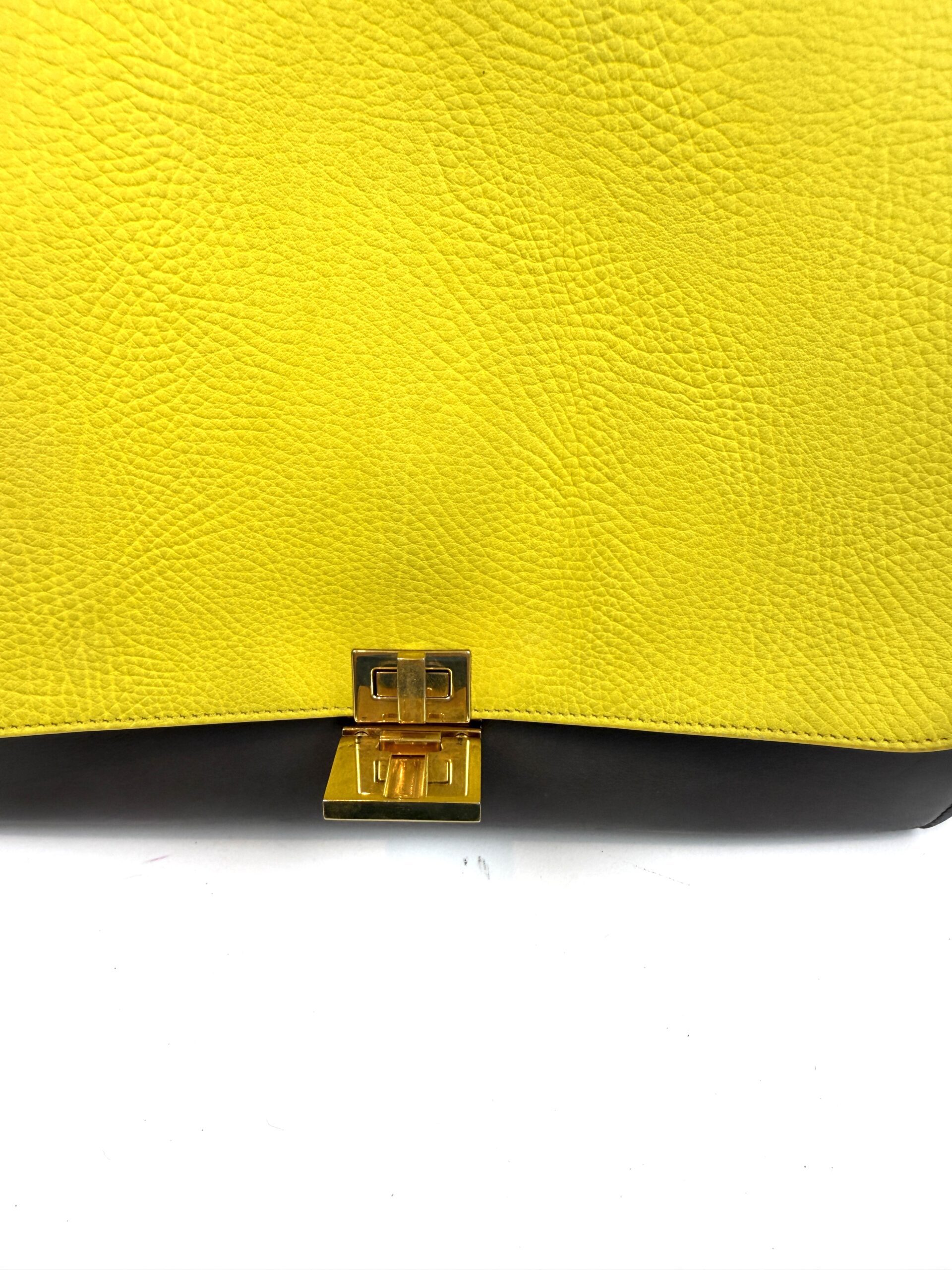 Celine Elephant Calfskin Small Tri-Color Trapeze Yellow 18 Celine Elephant Calfskin Small Tri-Color Trapeze Yellow 18