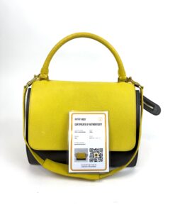 Celine Elephant Calfskin Small Tri-Color Trapeze Yellow 5