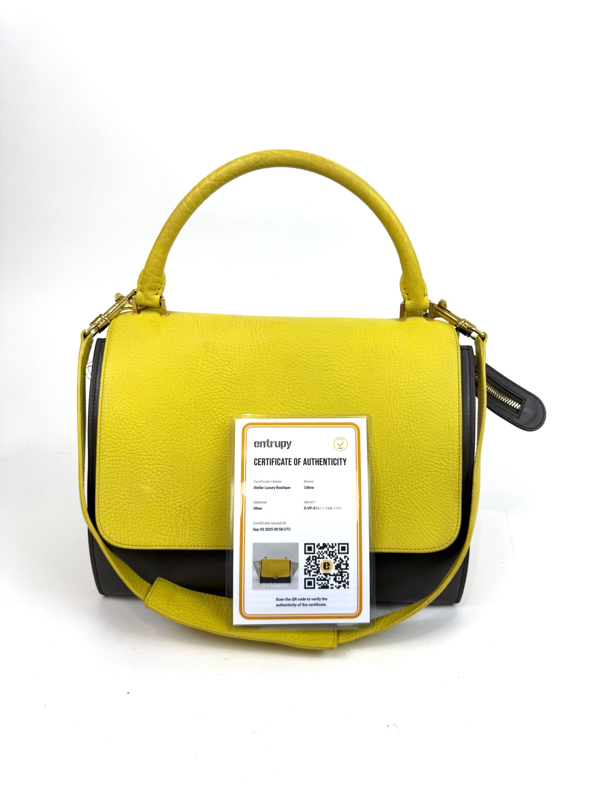 Celine Elephant Calfskin Small Tri-Color Trapeze Yellow 5 Celine Elephant Calfskin Small Tri-Color Trapeze Yellow 5