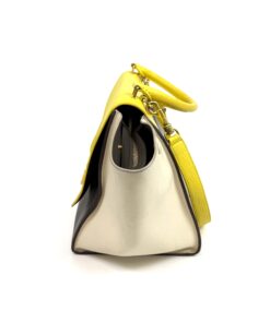 Celine Elephant Calfskin Small Tri-Color Trapeze Yellow 7