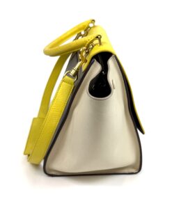 Celine Elephant Calfskin Small Tri-Color Trapeze Yellow 4