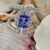 Ring photographed among shells and coral