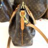 Louis Vuitton Turenne Monogram PM Shoulder Bag 8