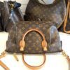 Louis Vuitton Turenne Monogram PM Shoulder Bag 18