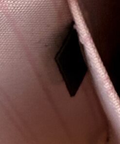 Louis Vuitton Damier Ebene Neverfull Pochette Rose Ballerine 8