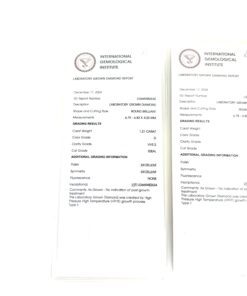 2.42 TCW Lab Diamond Screw Back Studs in 14k White Gold IGI Certificate 7