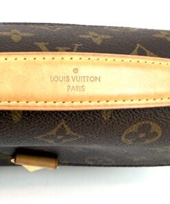 Louis Vuitton Monogram Canvas Pochette Metis 19
