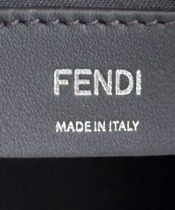 Fendi Fendigraphy Medium Hobo Caramel Silver 9