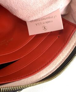 Louis Vuitton Blooming Flowers Monogram Double Pochette Crossbody Shoulder 7