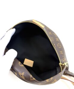 Louis Vuitton Monogram Bumbag Brown 6