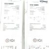 Two IGI grading reports for the matched pair
