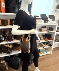 LOUIS VUITTON Monogram Canvas And Calfskin Leather Egg Bag Rare! 3