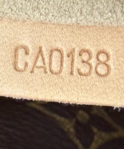 Louis Vuitton Monogram Artsy MM Hobo 25