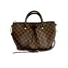 Louis Vuitton Siena PM Ebene Satchel or Crossbody