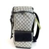 Opposite side view with the straps hanging loose