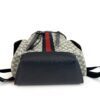 Front view with the flap closed over the drawstring