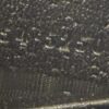 Close up of the embossed lettering on the black calfskin
