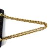 Detail of the gold chain where it meets the bag