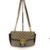 Bag with the chain strap extended to full length