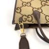 Front of the tote with the strap clipped on