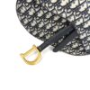Back of the Saddle bag in blue Oblique canvas