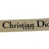 Wider view of the Christian Dior PARIS strap band