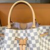 Front of the bag with the vachetta handles and drawstring