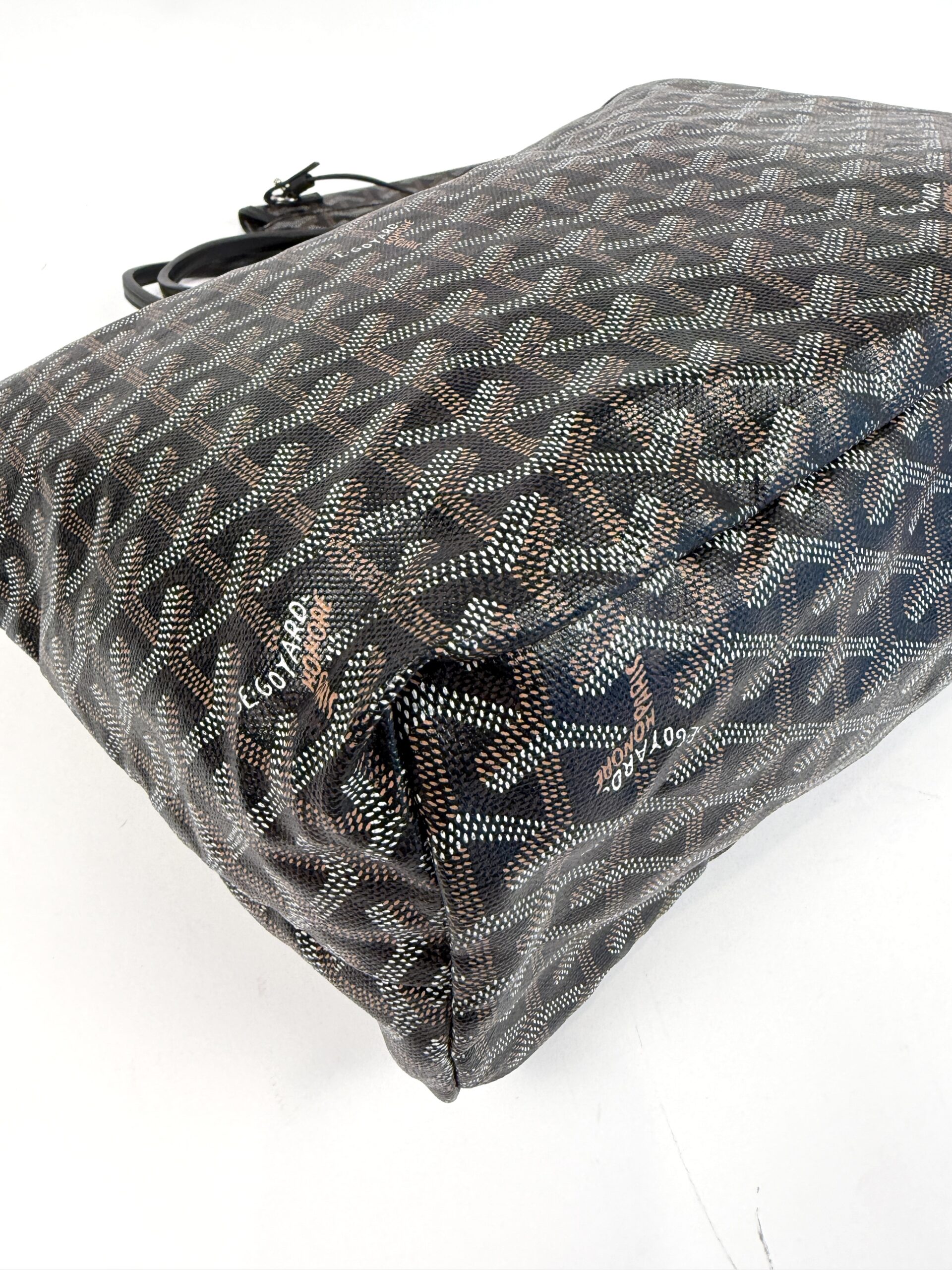 Goyard Goyardine Saint Louis PM Black - Image 17