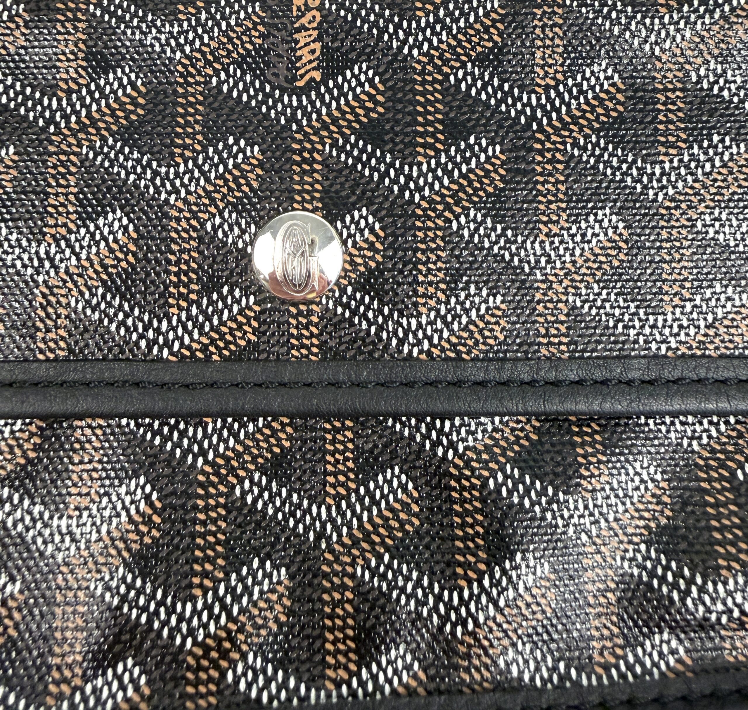 Goyard Goyardine Saint Louis PM Black - Image 19