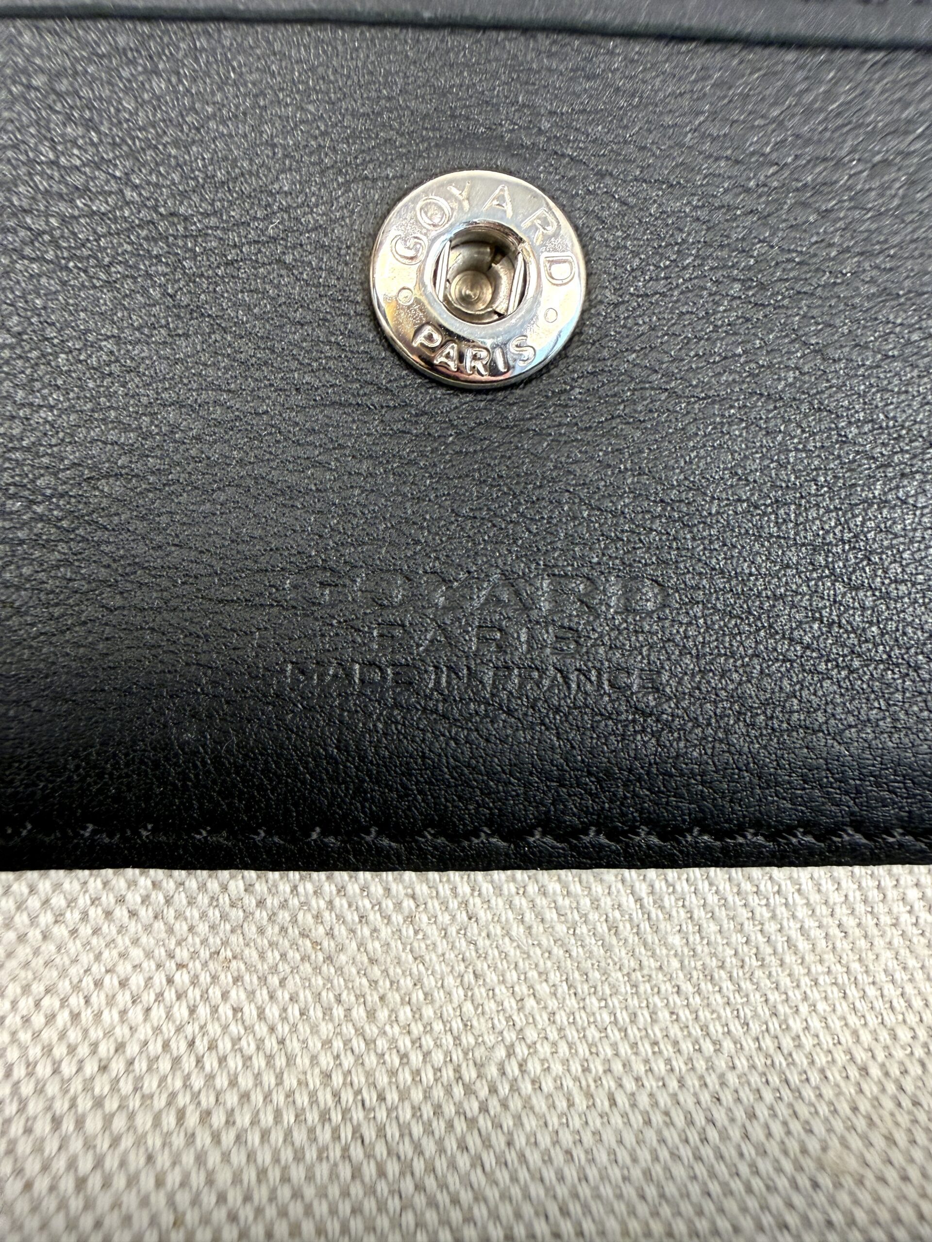 Goyard Goyardine Saint Louis PM Black - Image 22