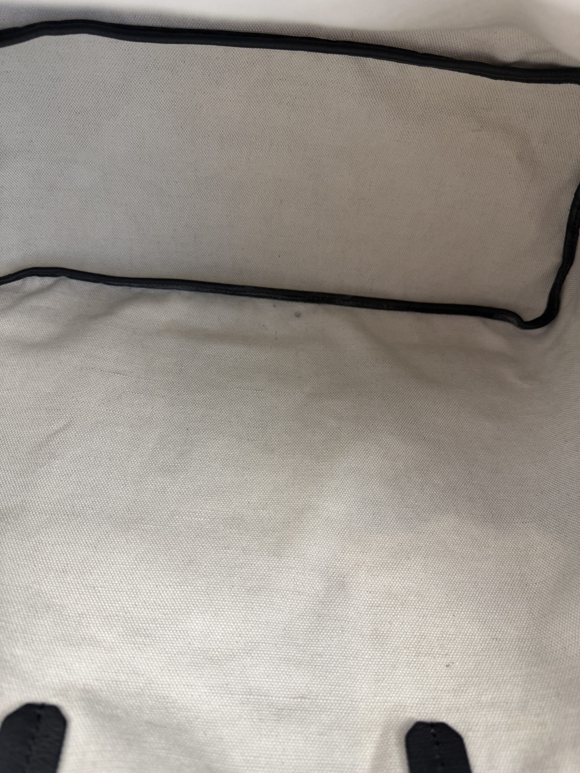 Goyard Goyardine Saint Louis PM Black - Image 27