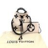 The bag and pochette on their dust bag