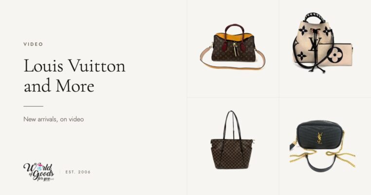 Louis Vuitton Tuileries, Empreinte NeoNoe and Damier Ebene Totally with a Saint Laurent Mini Lou camera bag